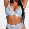 Wolf & Whistle Fuller Bust Stripe Mesh Lace Lingerie Set In Blue